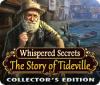 Whispered Secrets: The Story of Tideville Collector's Edition 게임