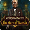 Whispered Secrets: The Story of Tideville 게임