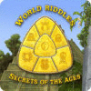 World Riddles: Secrets of the Ages 게임